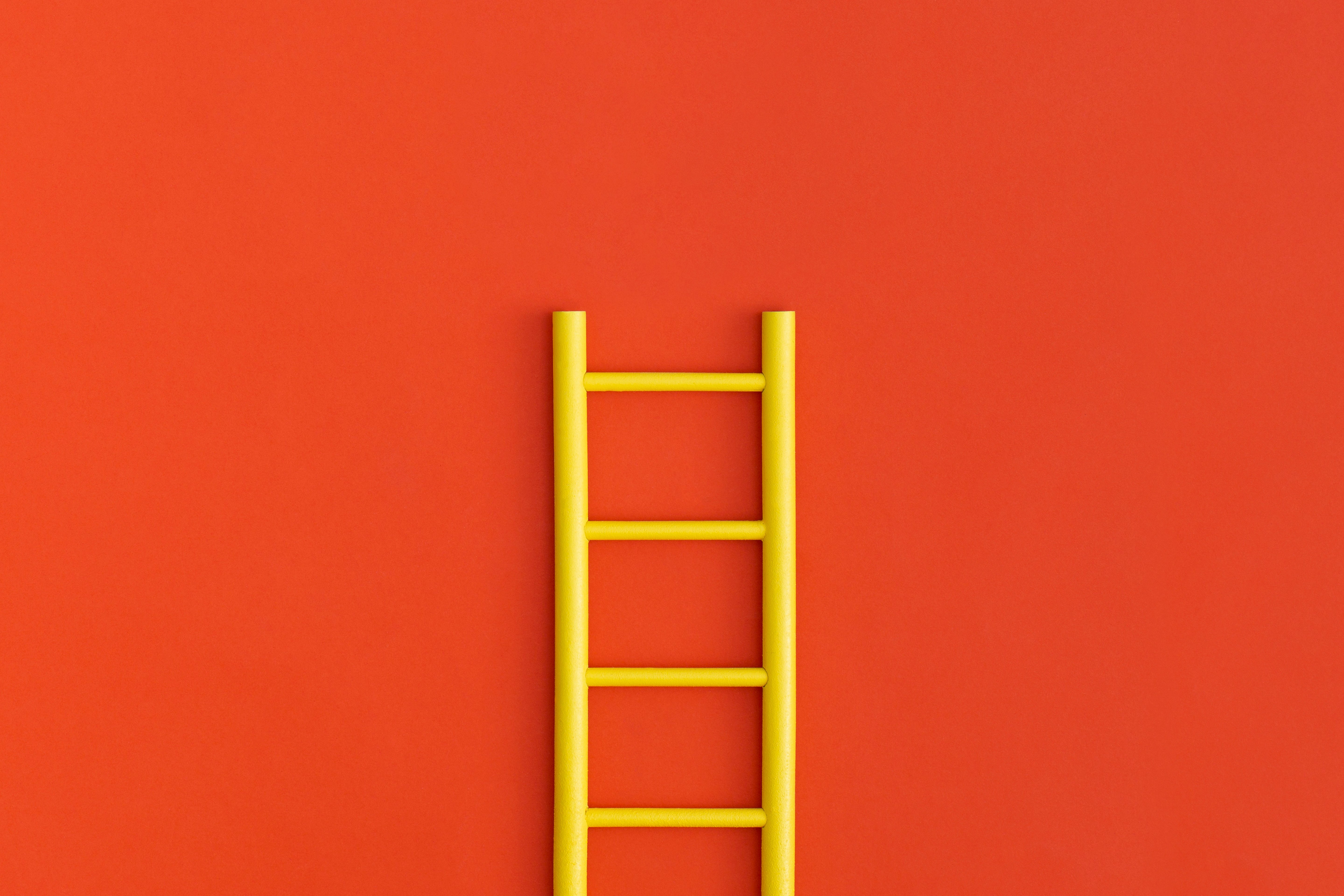 ladder-career-path-for-business-growth-success-pro-2023-11-27-05-28-09-utc