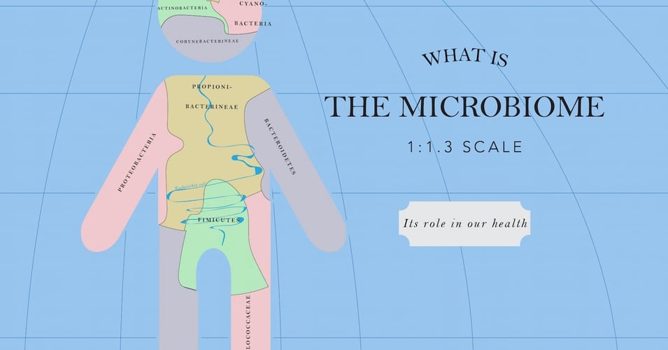 Microbiome-01