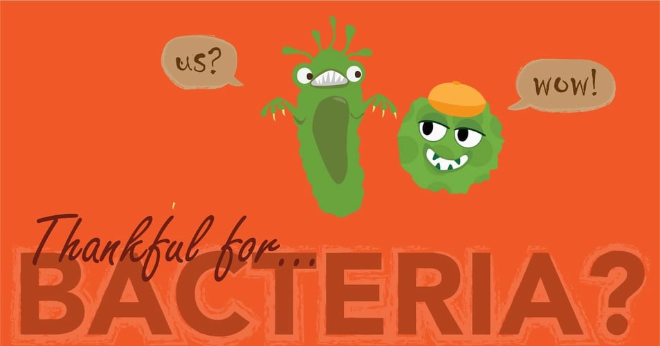 Thankful for Bacteria